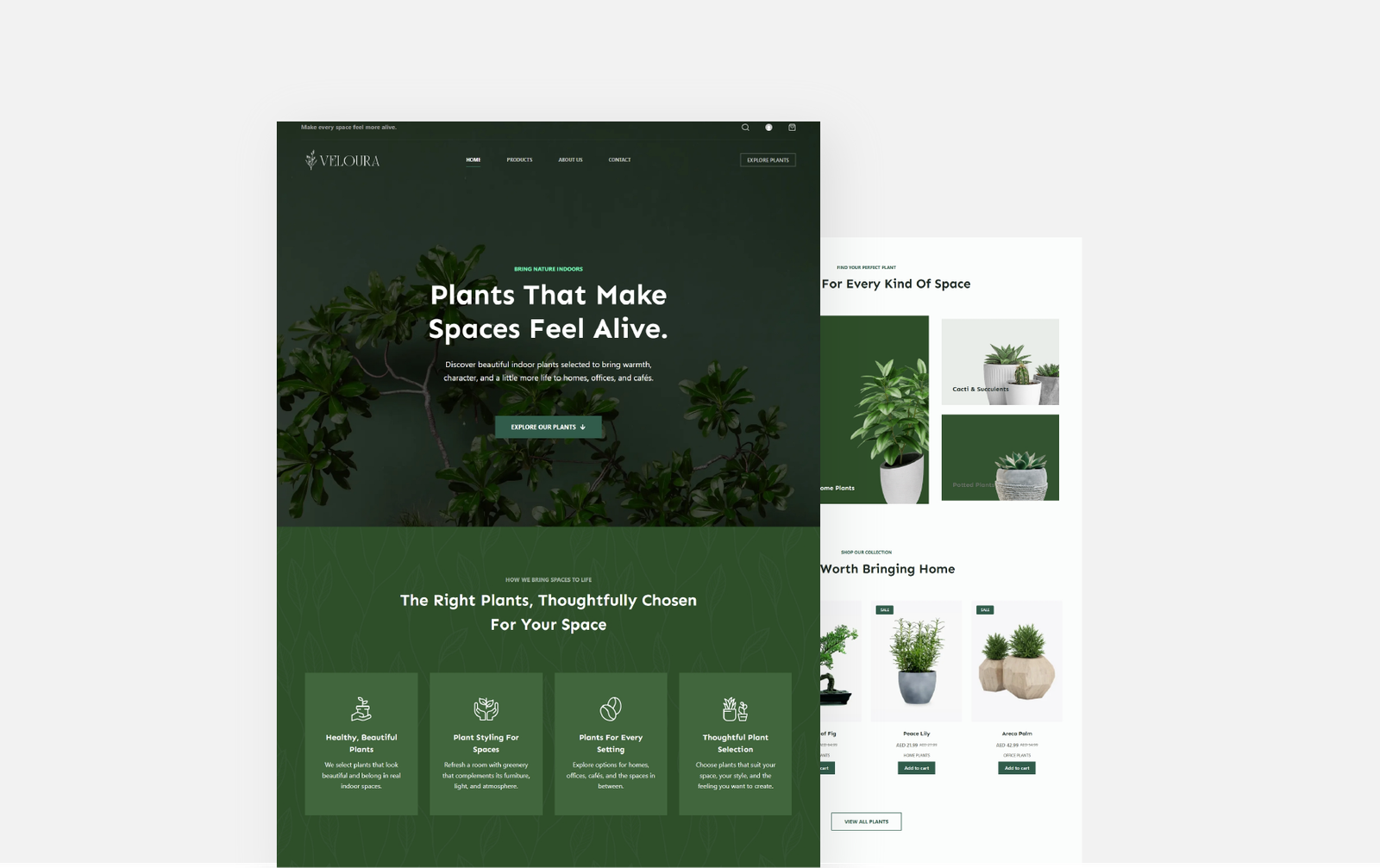 Veloura website project